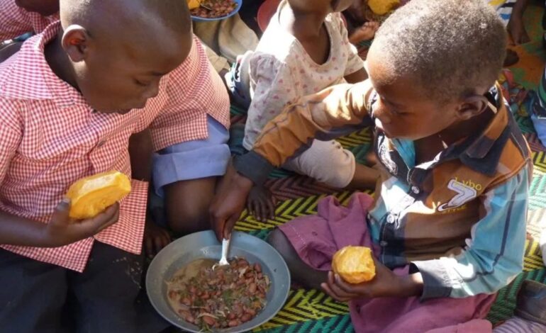 Alerta global: ¿Por qué mueren casi 5 millones de niños menores de 5 años cada año?